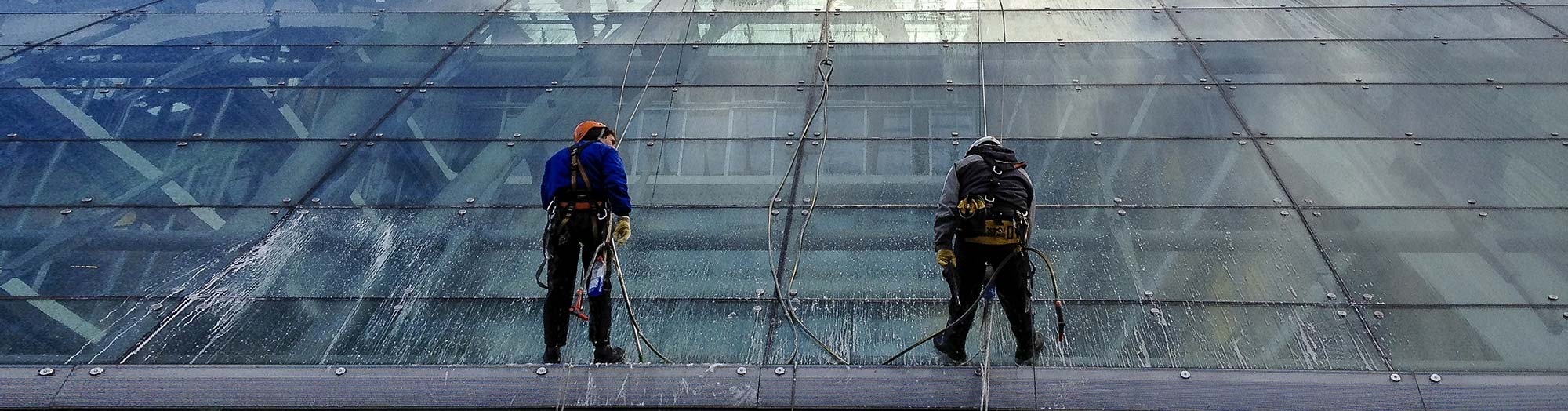 Window Cleaners
